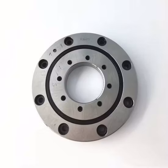 Braccio robot Ru124 con cuscinetto a rulli incrociati Ru124X
